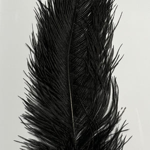 Medium Ostrich Plumes