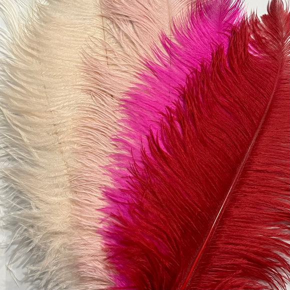 Medium Ostrich Plumes