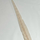 Dyed Pheasant Tail Feathers - Cream