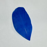 Goose Nagoire Feather Tips - Royal Blue