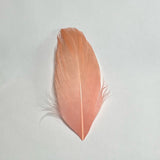 Goose Nagoire Feather Tips - Pink Peach