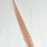 Dyed Pheasant Tail Feathers - Light Pink Latte