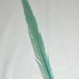 Dyed Pheasant Tail Feathers - Mint