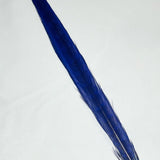 Dyed Pheasant Tail Feathers - Royal Blue