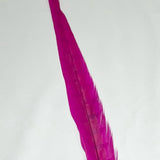 Dyed Pheasant Tail Feathers - Pink Peacock