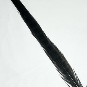 Dyed Pheasant Tail Feathers 14 Colors