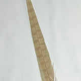 Dyed Pheasant Tail Feathers - Tan