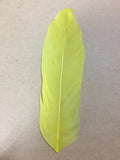 yellow goose nagoire feather tip