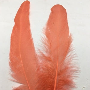 Coque Tail Feathers (untrimmed) pink peacock