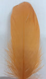 Goose Nagoire Feathers (loose) - US - B Unique Millinery